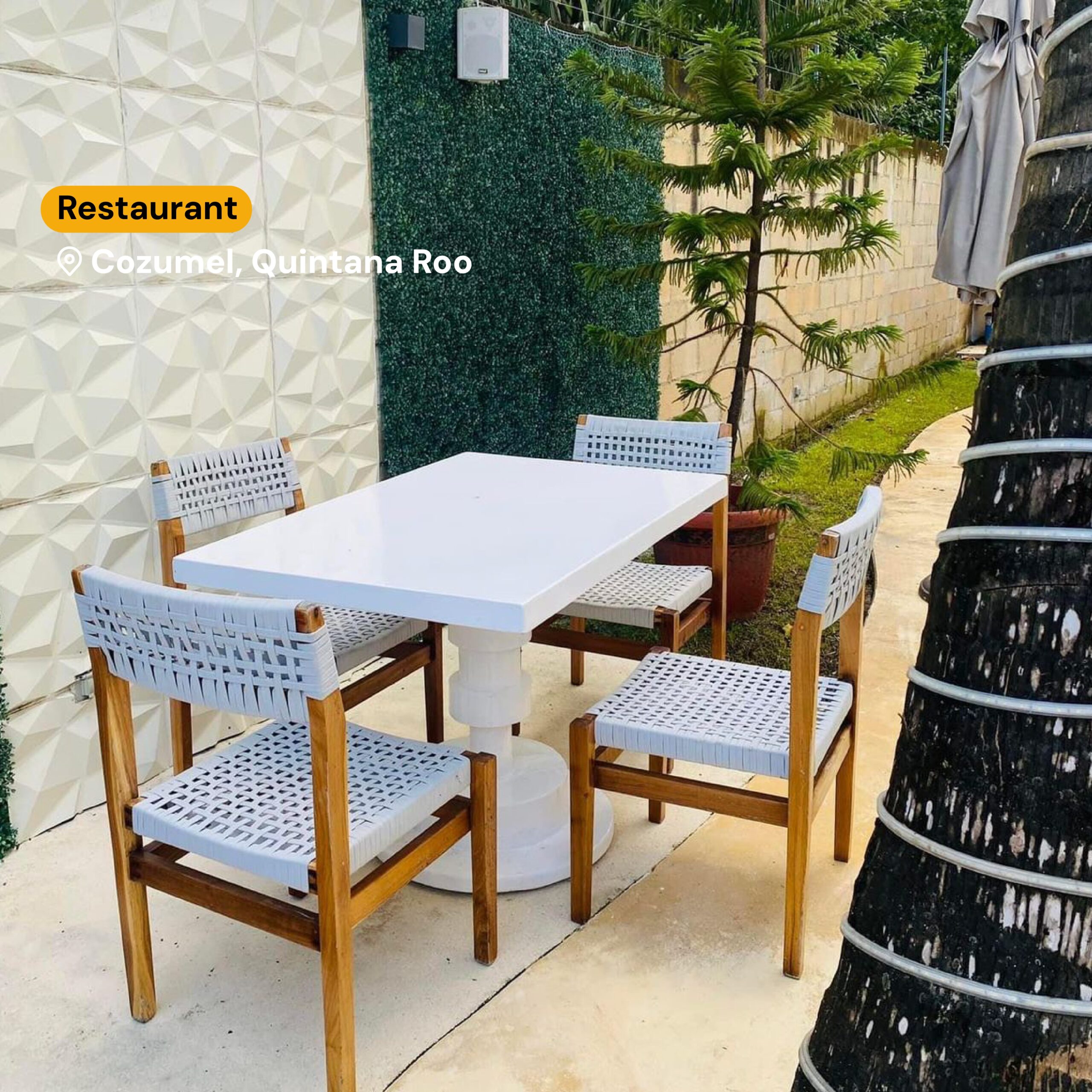 Restaurant in Sale located in Cozumel