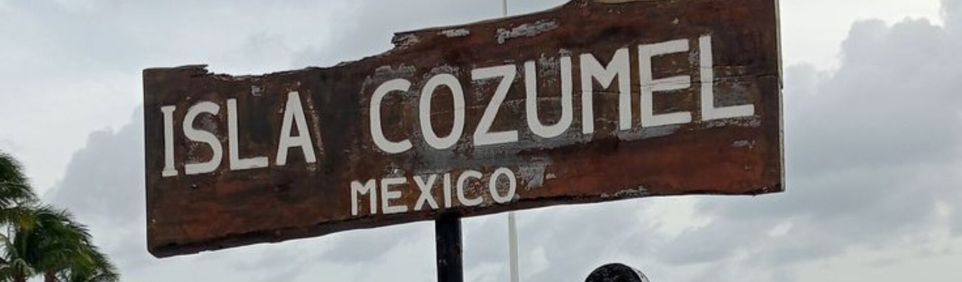 Commitment and Growth in Real Estate